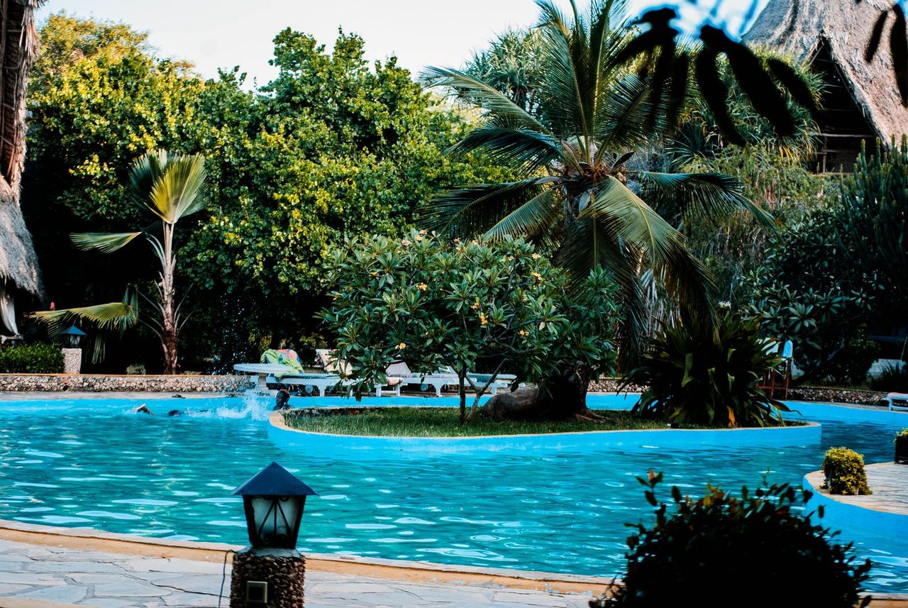 Illustrative photo: resort pool with palm trees